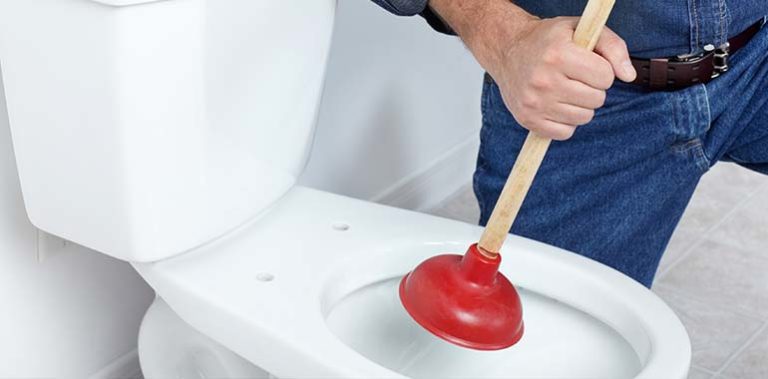 clogged toilet repair services in Round Lake