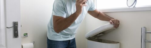 Toilet Repair in Round Lake, IL