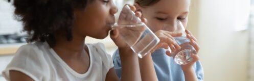 Whole-Home Water Treatment in Round Lake, IL